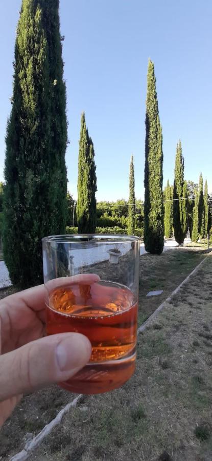 קולסלווטי B&B Agriturismo Regno Di Toscana מראה חיצוני תמונה